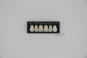 Зубы Optima, цвет B1, верхние фронтальные, 3-х слойные, 6 шт, TOROS DENTAL