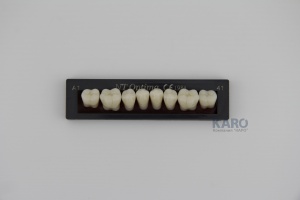 Зубы Optima, цвет A1, 3-х слойные, нижние боковые, 8 шт, TOROS DENTAL